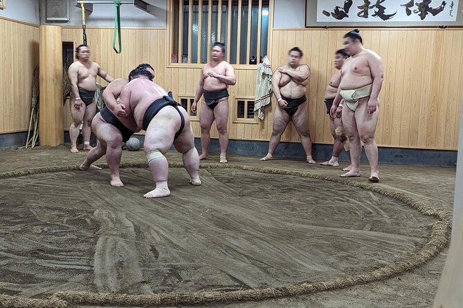 Morning Sumo Practice Viewing in Tokyo - How the early start shapes the day