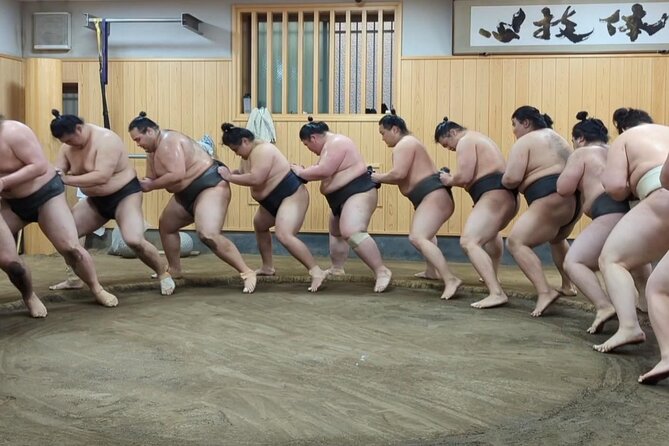 Morning Sumo Practice Viewing in Tokyo - Who will get the most from this visit