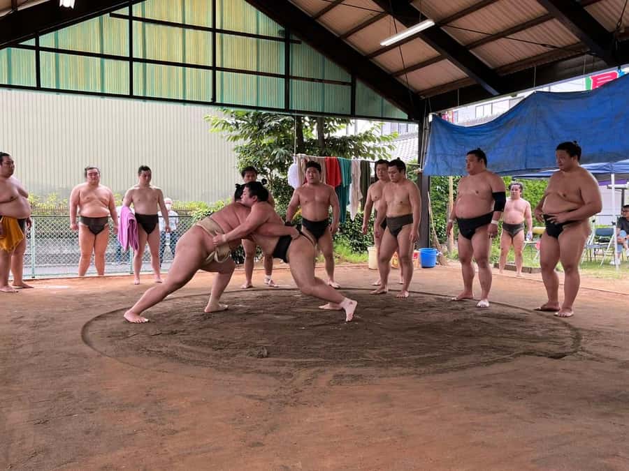 Nagoya: Visit Sumo Morning Practice with English Guide - Why Morning Practice Gives You More Than a Tournament Seat