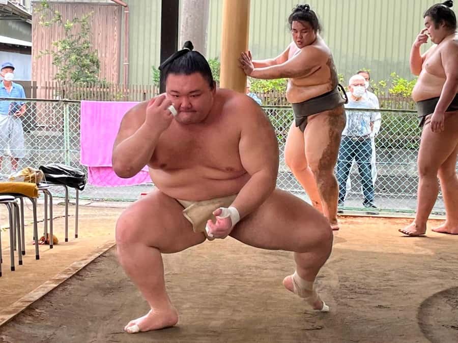 Nagoya: Visit Sumo Morning Practice with English Guide - What the Practice Session Is Like