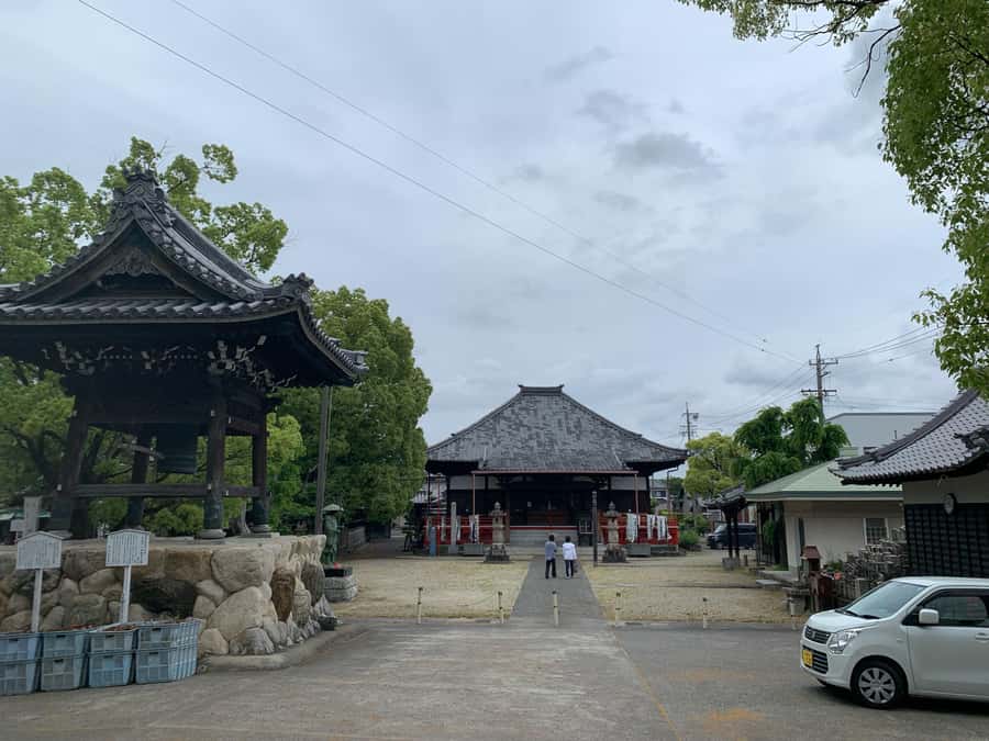 Nagoya: Visit Sumo Morning Practice with English Guide - Sitting on a Chair Instead of the Ground
