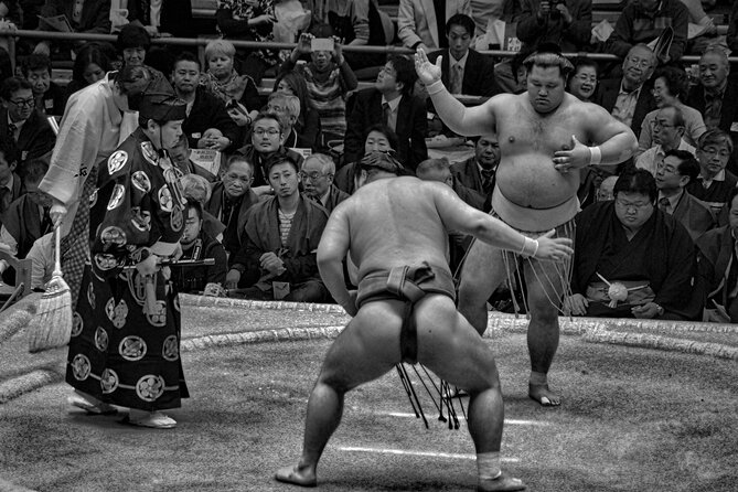 Official Sumo Tournament Ticket with Guided Experience - The guide makes the difference