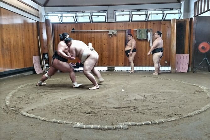 Sumo Practice Viewing Guided Tour and Photo with Sumo Wrestlers - Forty-five minutes of real training