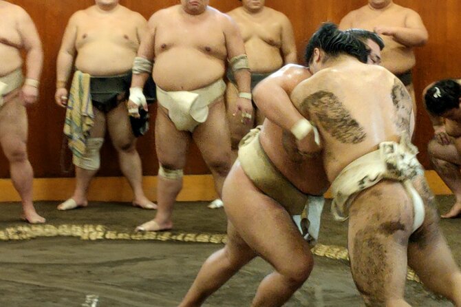 Sumo Training Watching Experience in Tokyo - Key points before you book