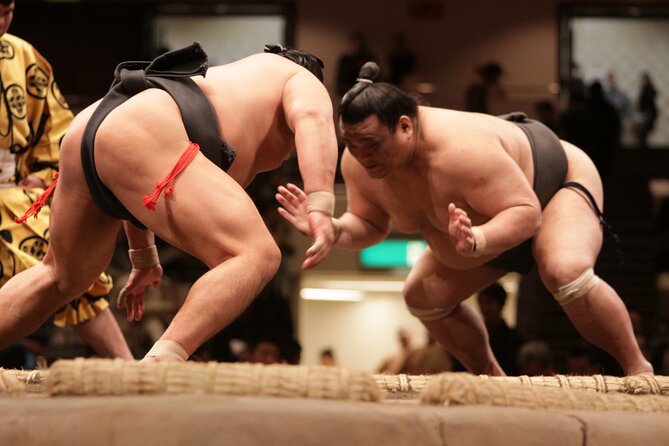Sumo Wrestling Tournament Chair Seats & Expert Guide | Osaka Mar - Key points to know before booking