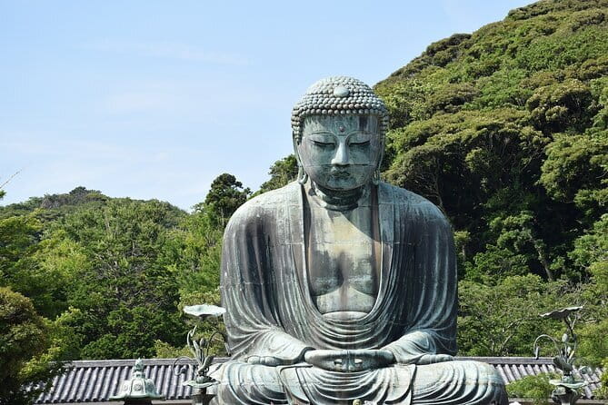 Tokyo 6hr Private Guided Tour & Sumo Show Lunch - Why the private format matters