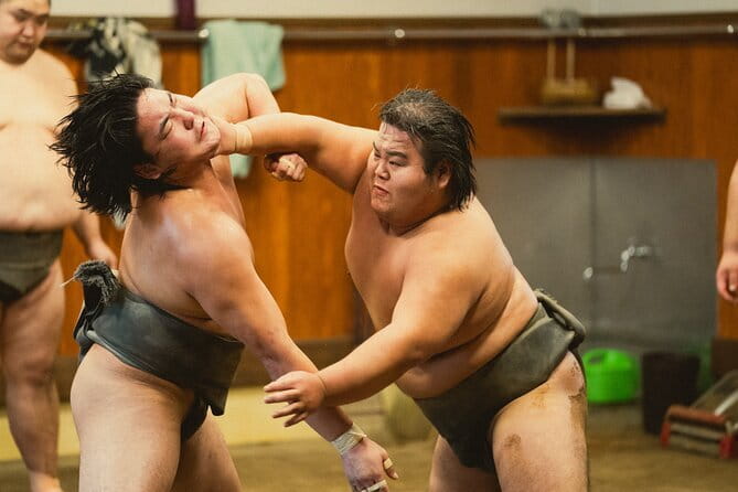 Tokyo 6hr Private Guided Tour & Sumo Show Lunch - Price, value, and extra costs