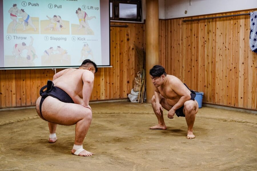 Tokyo: Authentic Sumo Wrestling Experience with Lunch - Morning practice from the edge of the ring