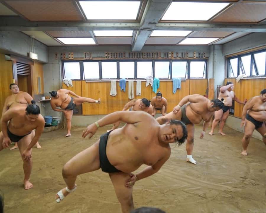 Tokyo: Exclusive Access to Sumo Morning Practice with Photos - Key points to know before you book