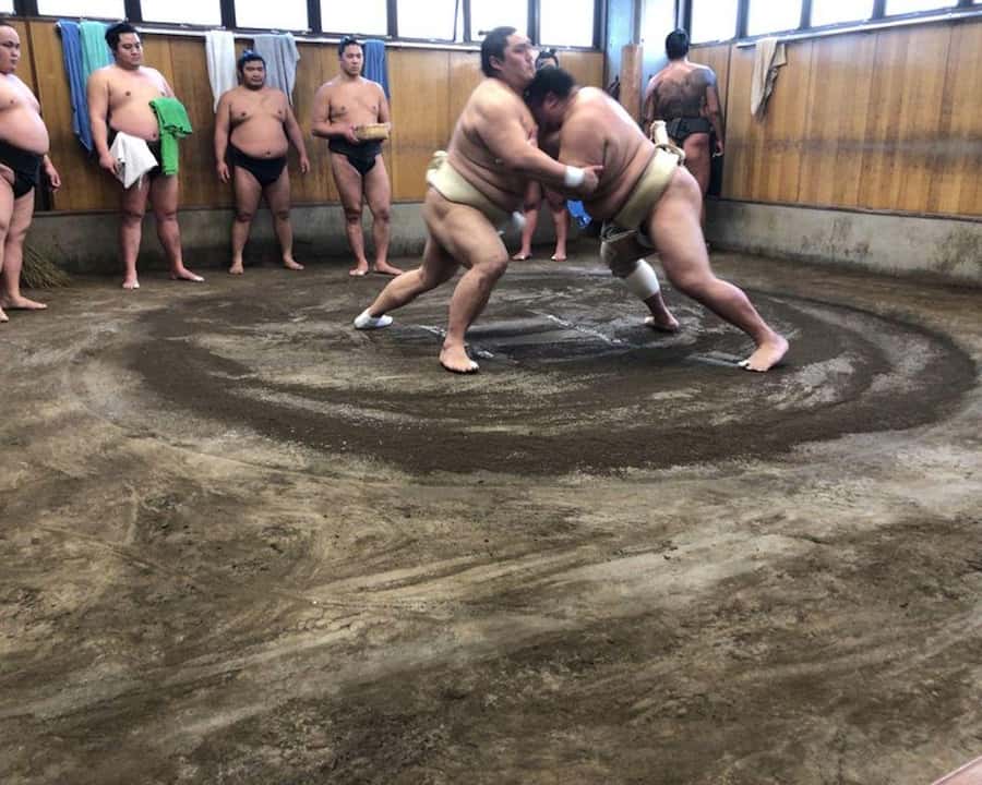 Tokyo: Exclusive Access to Sumo Morning Practice with Photos - Entering the stable and getting settled on tatami