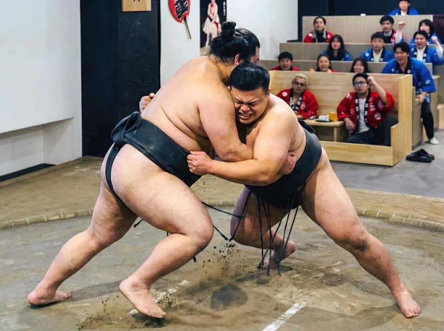 Tokyo Ginza : Sumo and Mikoshi Experience,Open from Sep. - Key points at a glance