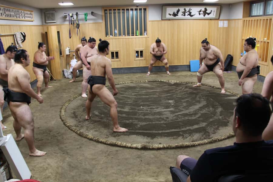 Tokyo: Grand Sumo Morning Training Tour - Why this sumo visit feels different from a staged show
