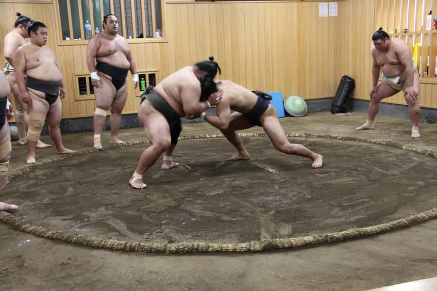 Tokyo: Grand Sumo Morning Training Tour - Photography rules are part of the experience