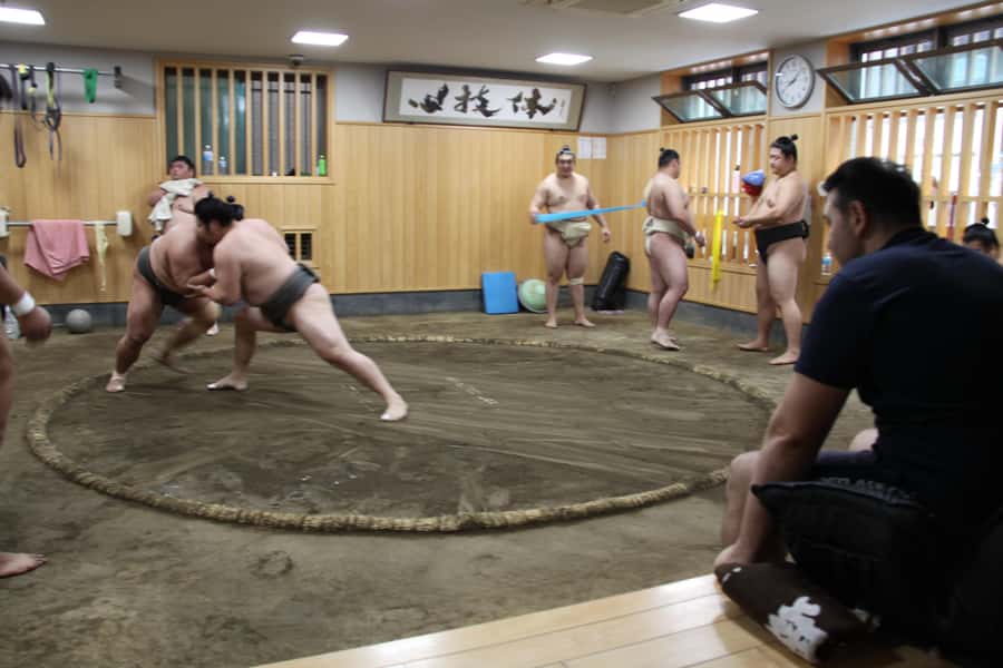 Tokyo: Grand Sumo Morning Training Tour - Who should book this stable visit