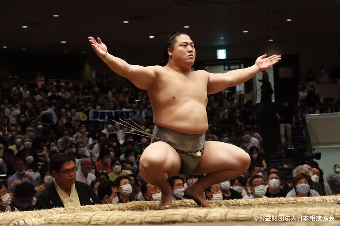 Tokyo Grand Sumo Tournament Viewing Tour - Who should book this sumo experience?