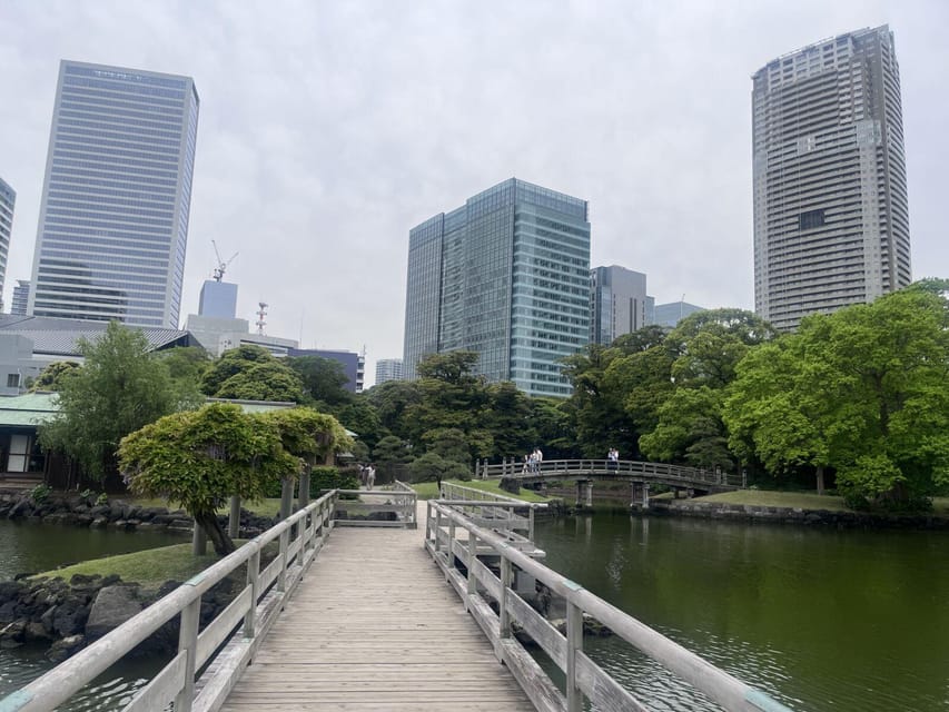 Tokyo Highlights Tour: Sumo, Sushi, Tea, and Tokyo Tower - Key points to know before booking