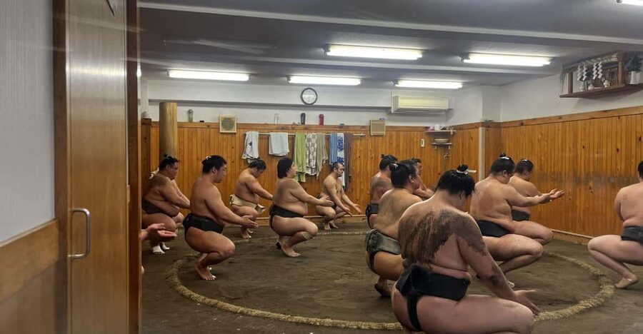 Tokyo Highlights Tour: Sumo, Sushi, Tea, and Tokyo Tower - Why this Tokyo day works so well