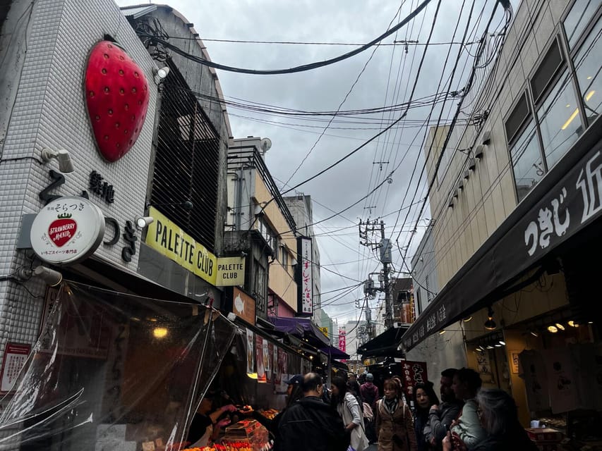 Tokyo Highlights Tour: Sumo, Sushi, Tea, and Tokyo Tower - Watching real sumo practice through the windows