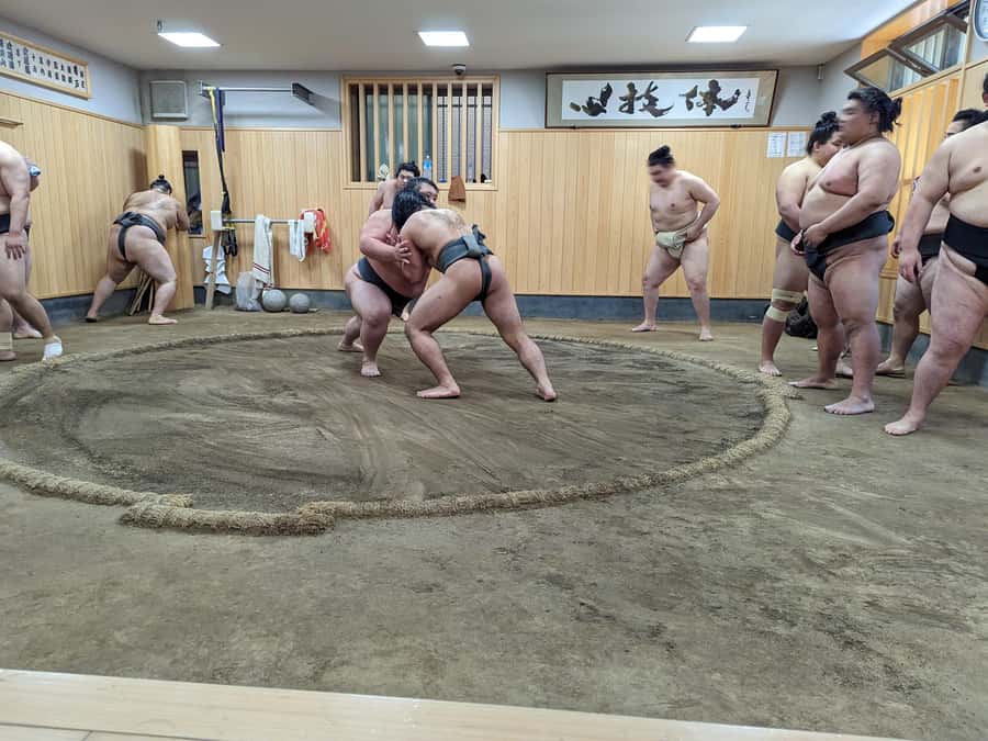 Tokyo: Morning Sumo Practice Viewing - Why a morning stable visit feels different from a sumo show
