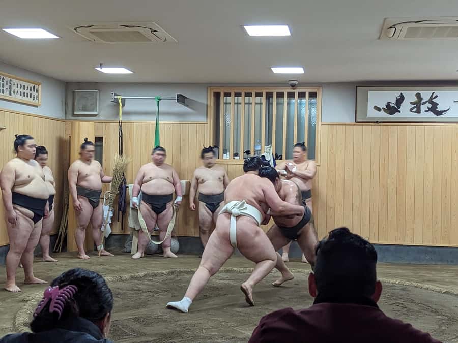 Tokyo: Morning Sumo Practice Viewing - The briefing covers more than basic sumo rules