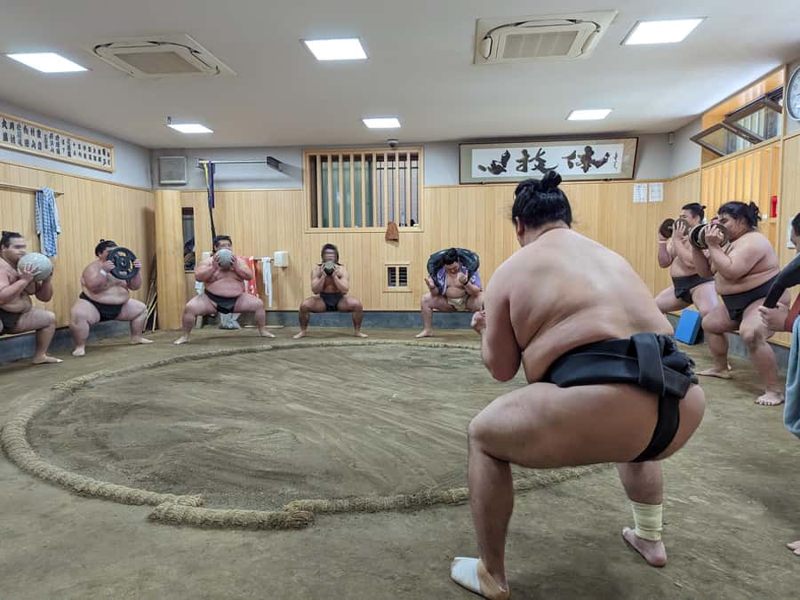 Tokyo: Morning Sumo Practice Viewing - Sitting ringside on a cushion
