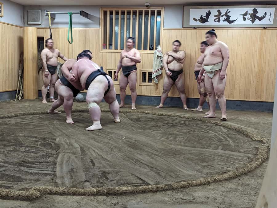 Tokyo: Morning Sumo Practice Viewing - Watching the lower ranks challenge the established wrestlers