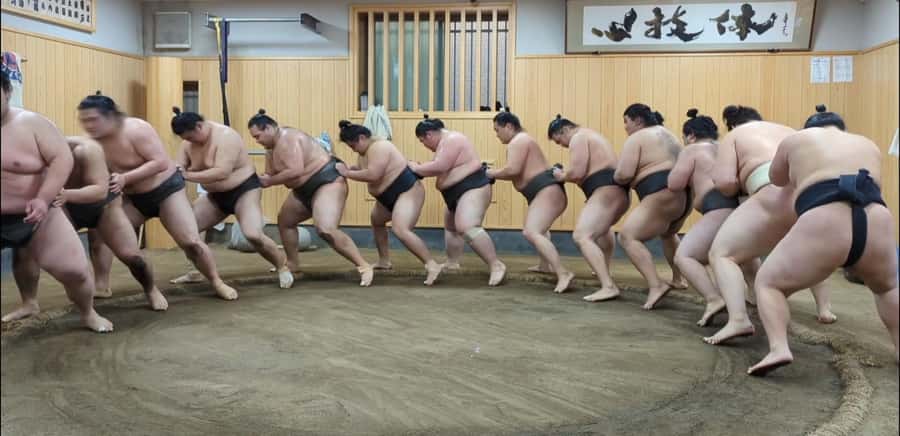 Tokyo: Morning Sumo Practice Viewing - The serious atmosphere is the main attraction
