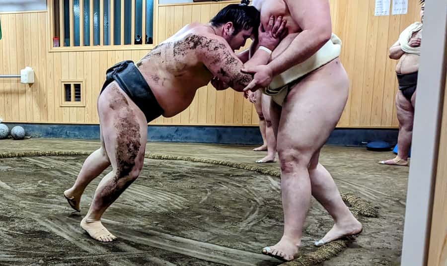 Tokyo: Morning Sumo Practice Viewing - How the guides shape the experience
