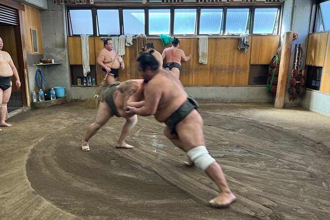 TOKYO , No1 Yokozuna Stable Morning Practice in Ryogoku - Key points before you book