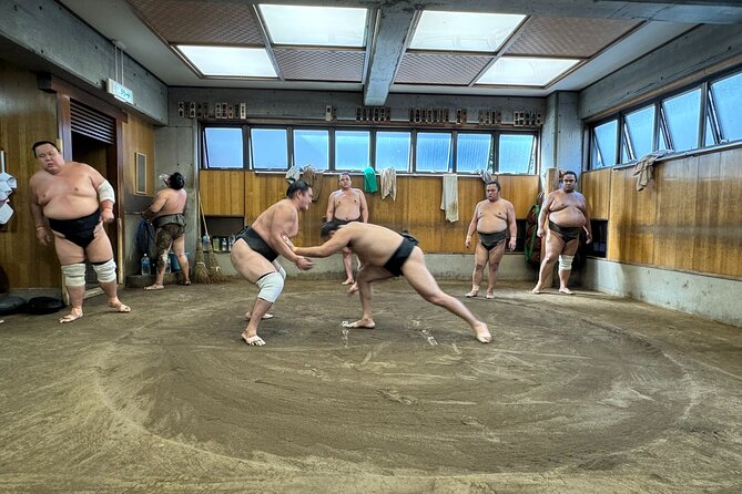 TOKYO , No1 Yokozuna Stable Morning Practice in Ryogoku - Is $110 a fair price for the morning?