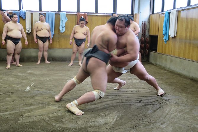 Tokyo Ryogoku Sumo Morning Practice + Photo Shoot with Wrestlers - Seeing Sumo Before the Tournament Crowd Arrives