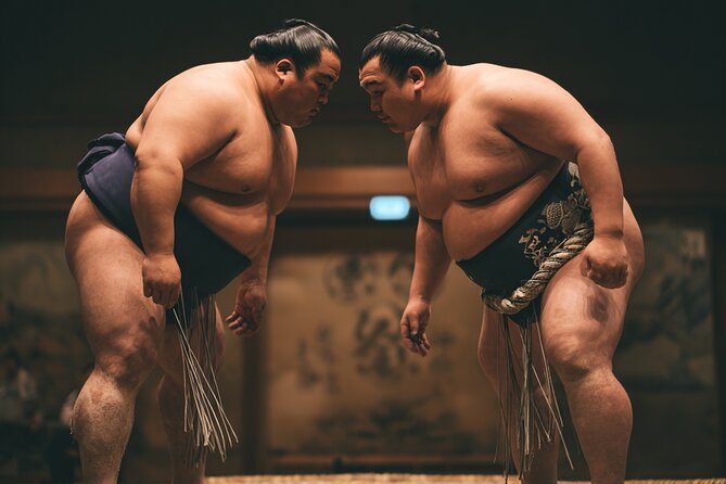 Tokyo Shinjuku Sumo Show and Experience with Drinks and Photo - A Close Seat in the Shinjuku Sumo Club