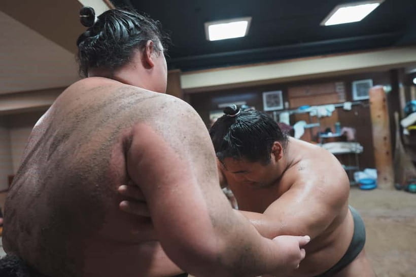 Tokyo: Sumo Keiko Training Tour with Audio Guide & Photo - The audio guide and pamphlet add useful context