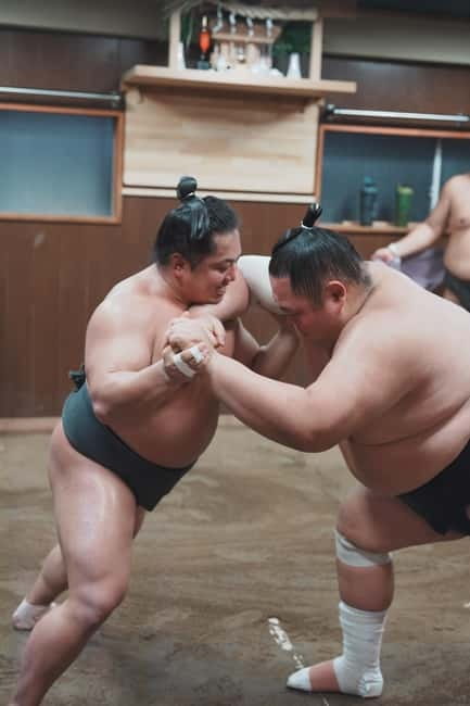 Tokyo: Sumo Keiko Training Tour with Audio Guide & Photo - Who will enjoy this most