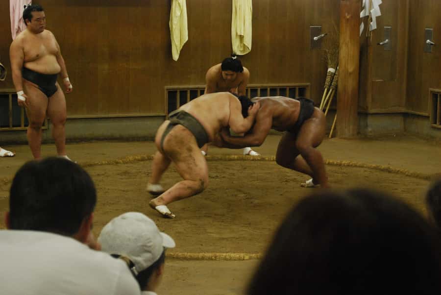 Tokyo: Sumo Morning Practice -Stable Visit Tour with a Guide - Who will enjoy this stable visit most