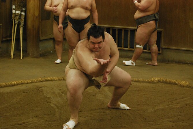 Tokyo: Sumo Morning Practice -Stable Visit Tour with a Guide - Photos, questions, and contact with the rikishi
