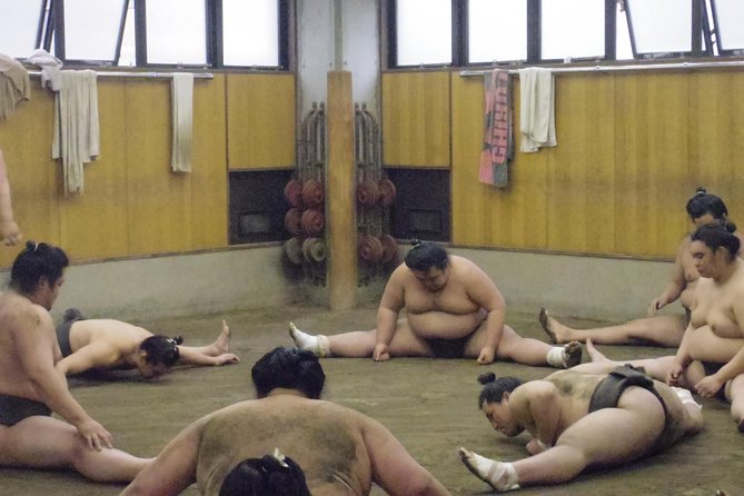 Tokyo Sumo Morning Practice Tour at Stable - What the practice can reveal about sumo