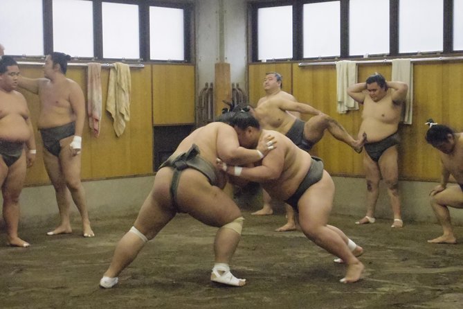 Tokyo Sumo Morning Practice Tour at Stable - Learning the rules before the wrestlers begin