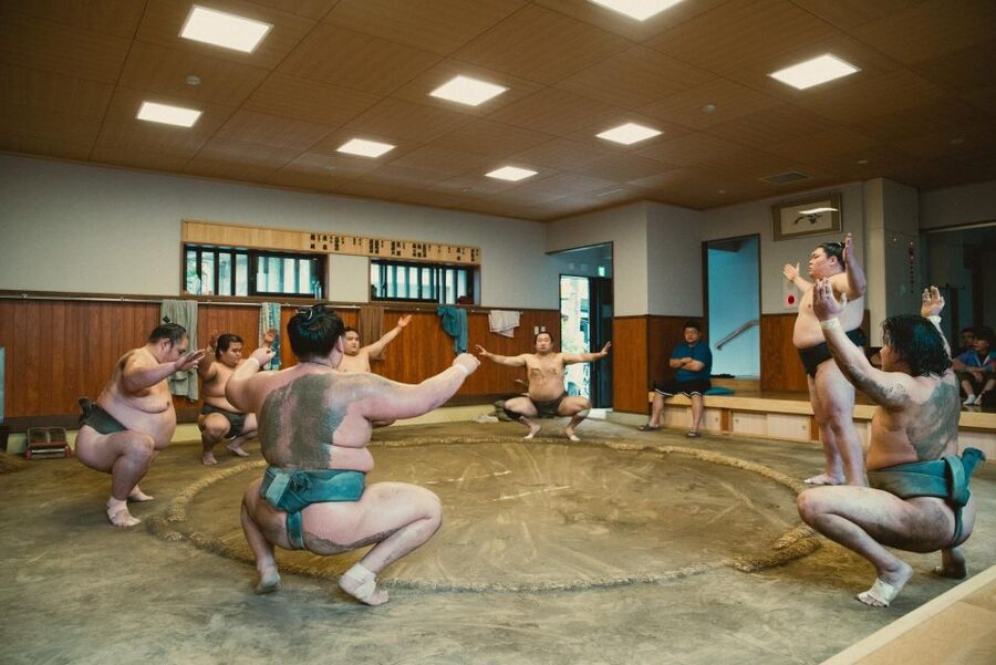 Tokyo: Sumo Morning Practice Tour at Sumida City - Who should book this sumo morning?