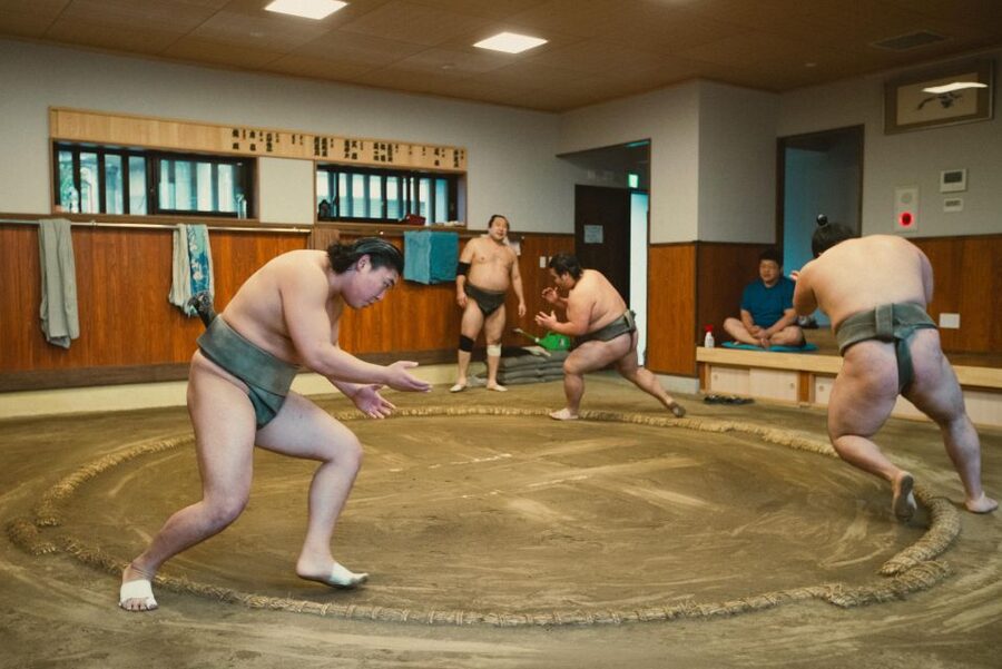 Tokyo: Sumo Morning Practice Tour at Sumida City - The stable master’s question-and-answer session
