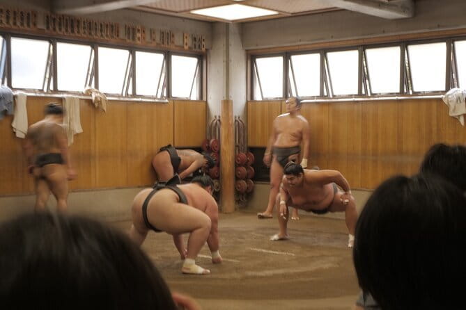Tokyo Sumo Morning Practice Tour w/ Ring-Side Seat + Photo Shoot - Why a sumo stable is more revealing than a tournament