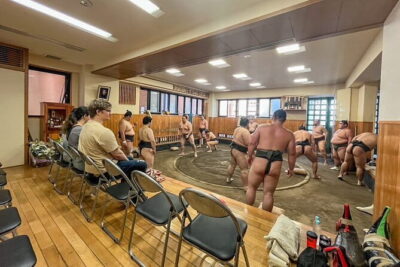 Tokyo Sumo Morning Practice Tour w/ Ring-Side Seat + Photo Shoot