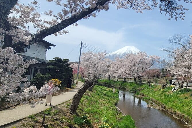 Tokyo Sumo Morning Practice Tour w/ Ring-Side Seat + Photo Shoot - Kiyosumi Gardens provides a calm finish