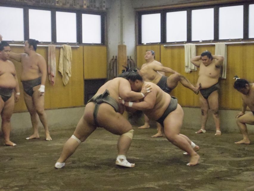 Tokyo: Sumo Morning Practice Viewing Tour - Why a sumo stable is more revealing than a tournament
