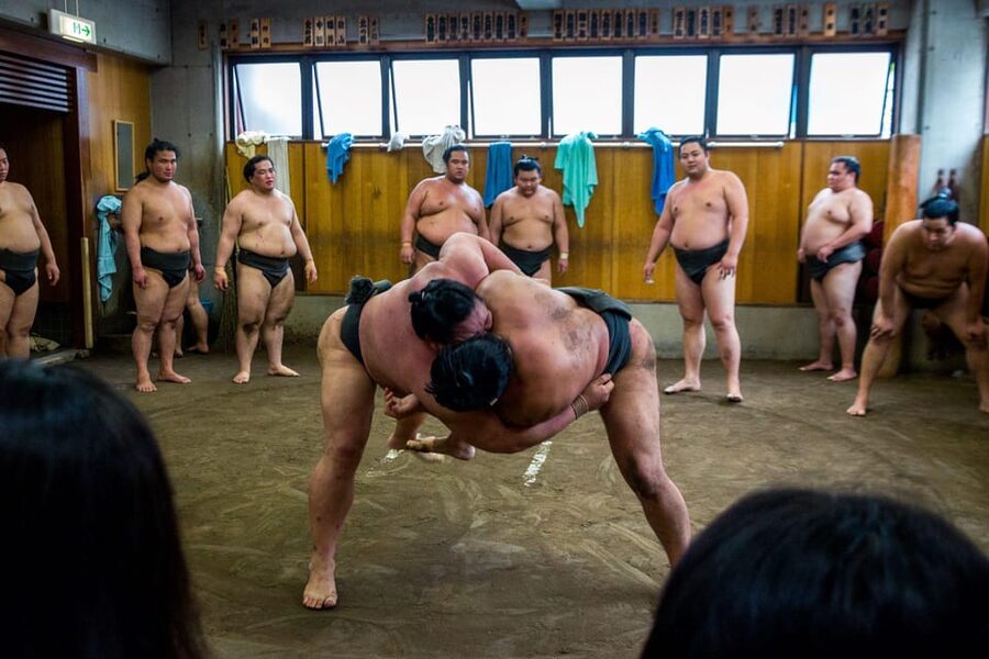 Tokyo: Sumo Morning Practice Viewing Tour - Entering a working sumo stable