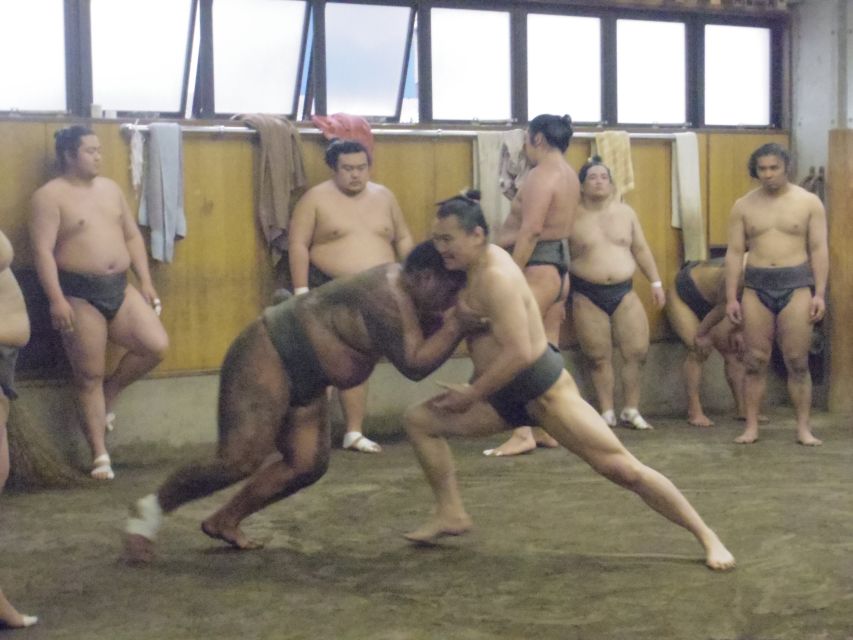 Tokyo: Sumo Morning Practice Viewing Tour - What the 60 to 90 minute practice looks like