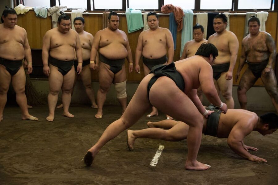 Tokyo: Sumo Morning Practice Viewing Tour - Photos and contact with the wrestlers