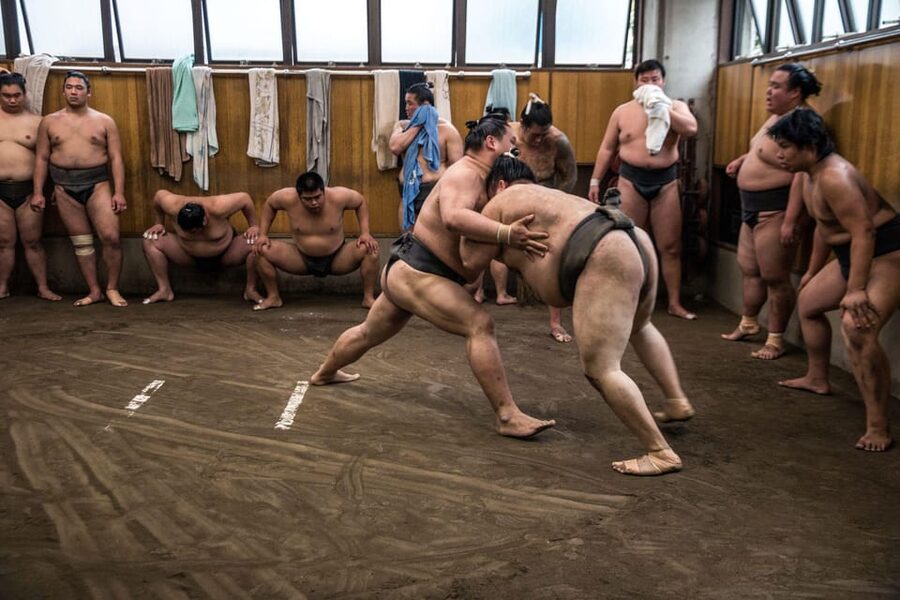 Tokyo: Sumo Morning Practice Viewing Tour - Who will enjoy this most