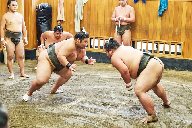 Tokyo: Sumo Morning Practice Viewing Tour at a Real Stable - Why watching practice beats watching only a tournament