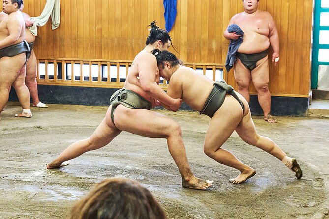 Tokyo: Sumo Morning Practice Viewing Tour at a Real Stable - Learning the rules without doing homework first